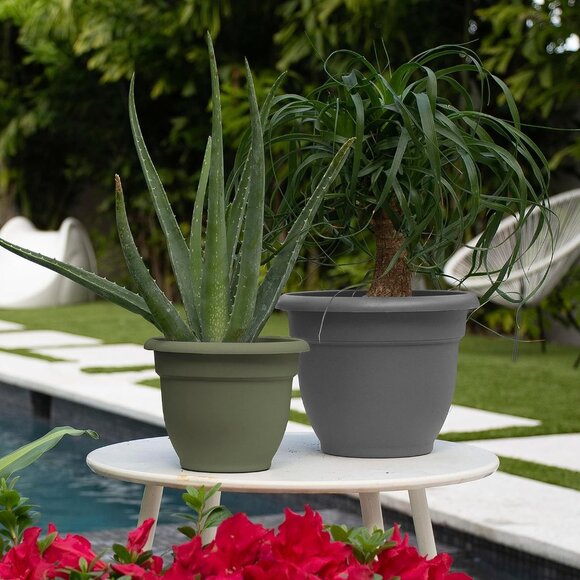 10" Thyme Green Planter W/ Drain Holes - Picture 4 of 4